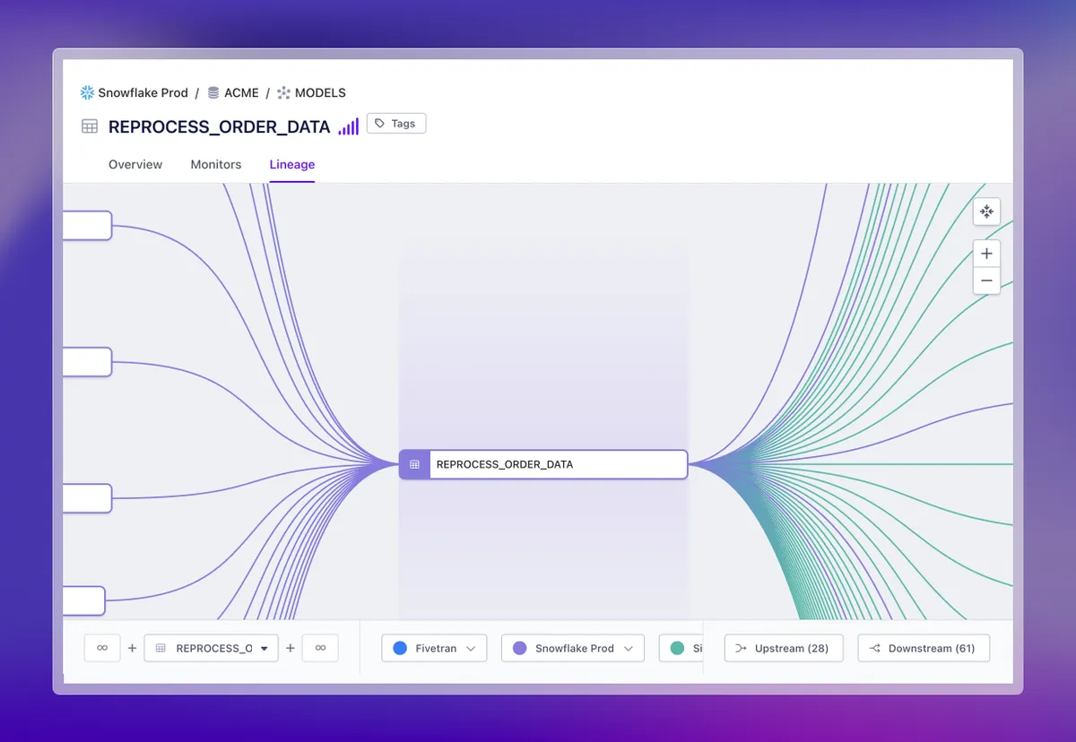 Metaplane product dashboard and interface
